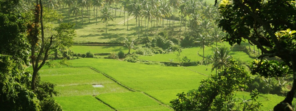 Merasakan Nuansa Khas Pedesaan di Desa Wisata Sawarna