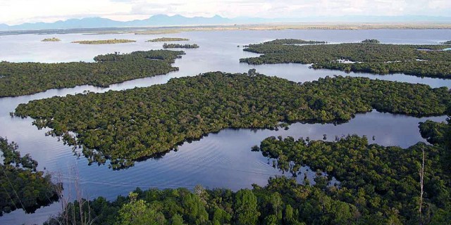 Pesona Danau Hitam di Taman Nasional Danau Sentarum